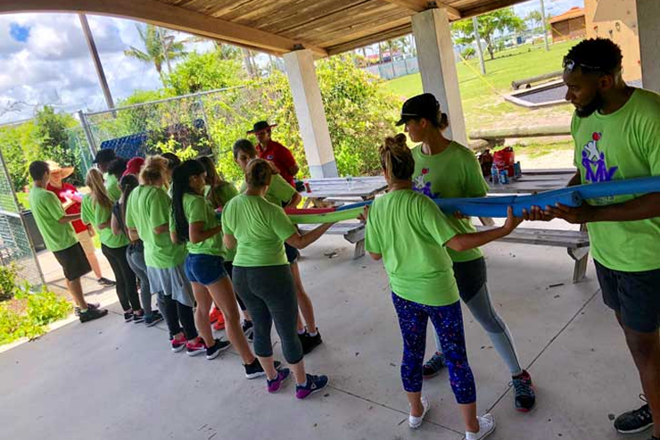 Collaborative Teamwork