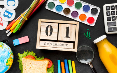 How Visual Schedules Improve Learning and Independence